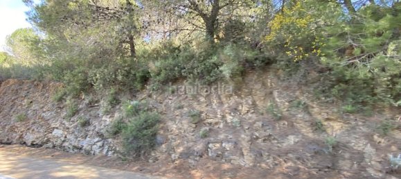 Terrain à Alhaurin el Grande, Spain 4143m² No. 126110 17