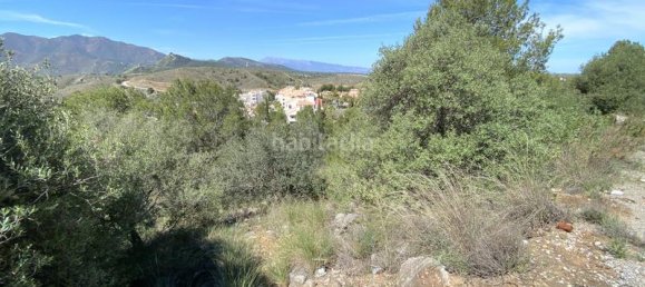 Terrain à Alhaurin el Grande, Spain 4143m² No. 126110 5