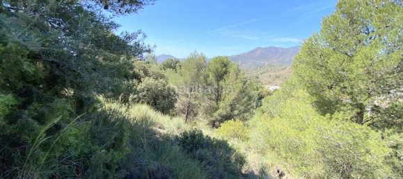 Terrain à Alhaurin el Grande, Spain 4143m² No. 126110 2