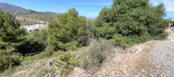 Terrain à Alhaurin el Grande, Spain 4143m² No. 126110 8