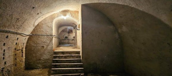 Коммерческая недвижимость с 10 комнатами в Ашбах-Маркт, Австрия № 243455 18