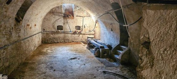 Коммерческая недвижимость с 10 комнатами в Ашбах-Маркт, Австрия № 243455 17