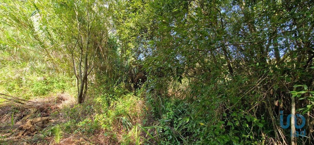 Terreno en Mafra, Portugal 2187 m² No. 231174