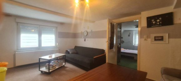 Земельный участок с 9 комнатами в Зале, Германия № 326428 16