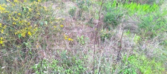 900m² Land in Cascais, Portugal No. 128665 3