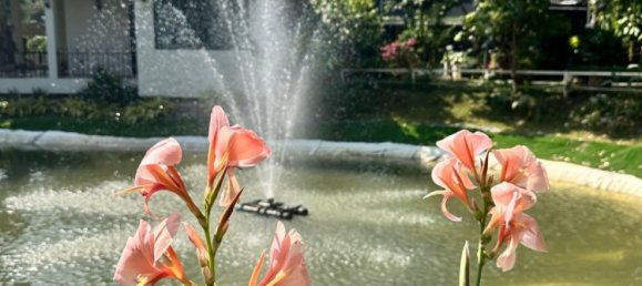 Eigentumswohnung in Chiang Mai, Thailand 48.5m², Nr. 65145 2