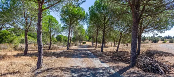 13 Schlafzimmer Schlösser in Grandola, Portugal, Nr. 146099 37