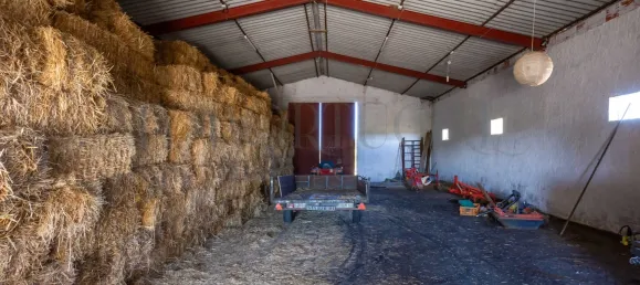 13 Schlafzimmer Schlösser in Grandola, Portugal, Nr. 146099 40