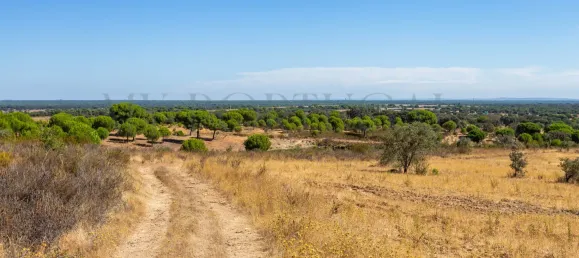 13 Schlafzimmer Schlösser in Grandola, Portugal, Nr. 146099 33