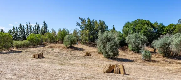 13 Schlafzimmer Schlösser in Grandola, Portugal, Nr. 146099 39
