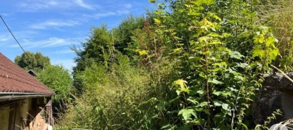 Terreno em Niederneukirchen, Austria N.º 100973 4