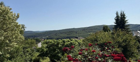 7 rooms House in Gablitz, Austria No. 256734 2