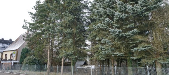 Casa de 5 habitaciónes en Sudwestpfalz, Germany No. 149631 7