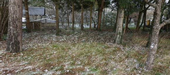 Casa de 5 habitaciónes en Sudwestpfalz, Germany No. 149631 8