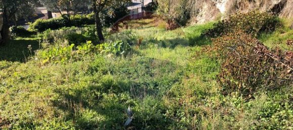 4 bedrooms House in Aveloso, Portugal No. 30461 17