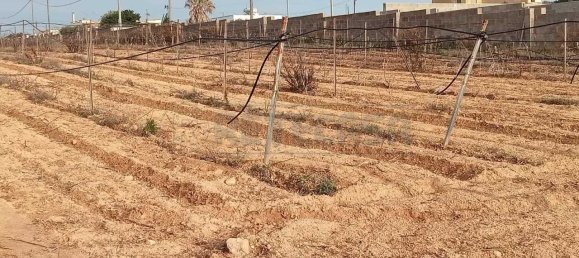 17000m² Land in Mazara del Vallo, Italy No. 65532 3