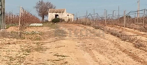 17000m² Land in Mazara del Vallo, Italy No. 65532 2