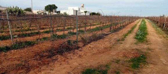 17000m² Land in Mazara del Vallo, Italy No. 65532 6