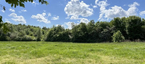  عقار تجاري في Nordwestmecklenburg, Germany 175متر مربع رقم 153693 3