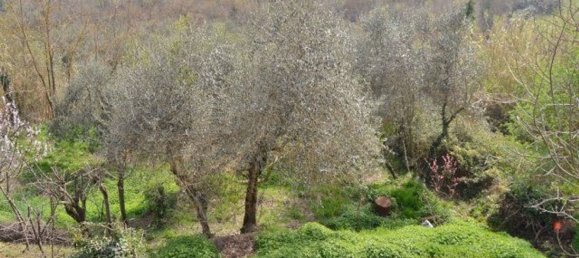 12 rooms Castles in Fabro, Italy No. 159529 33