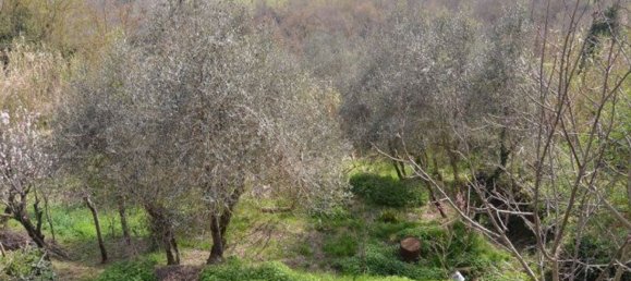 12 rooms Castles in Fabro, Italy No. 159529 32