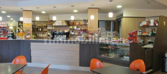 3-Zimmer Gewerbliche Immobilie in Massarosa, Italy, Nr. 25664 2