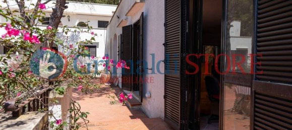 3 Schlafzimmer Villa in Nardò, Italy, Nr. 313955 8