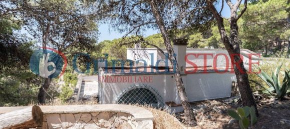 3 Schlafzimmer Villa in Nardò, Italy, Nr. 313955 46