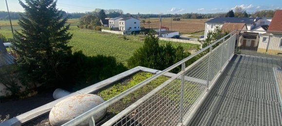 Studio in Village-Neuf, France No. 51907 2