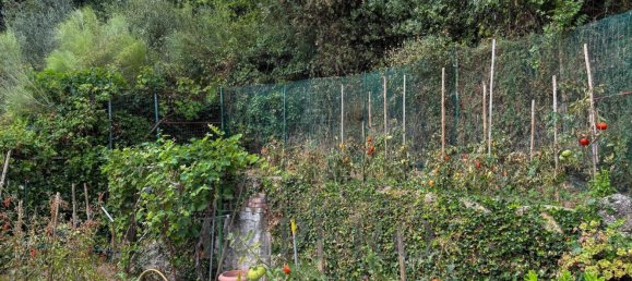 10 rooms Villa in Camporosso, Italy No. 309706 19