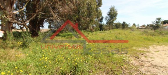 Terreno en Palmela, Portugal 5012 m² No. 190404 6