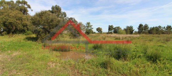 Terreno en Palmela, Portugal 5012 m² No. 190404 10