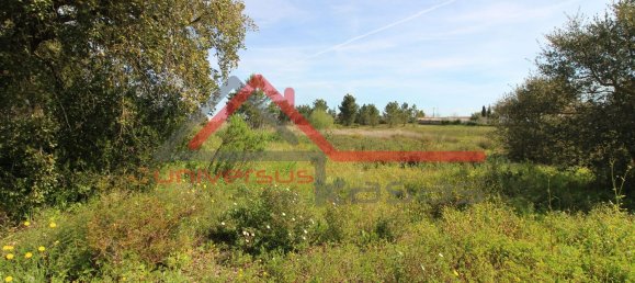 Terreno en Palmela, Portugal 5012 m² No. 190404 16