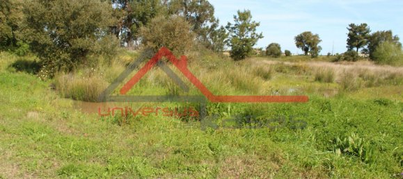 Terreno en Palmela, Portugal 5012 m² No. 190404 4
