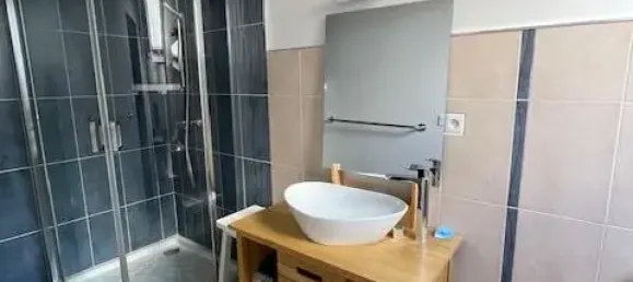 Дом с 9 комнатами в Шузе-сюр-Луара, Франция № 71918 14