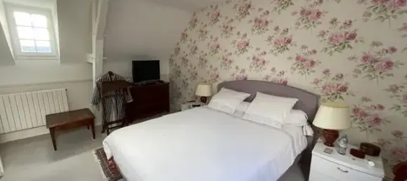 Дом с 9 комнатами в Шузе-сюр-Луара, Франция № 71918 10