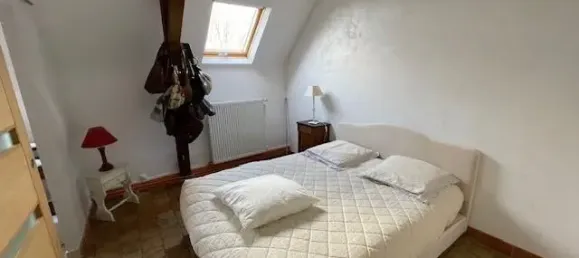 Дом с 9 комнатами в Шузе-сюр-Луара, Франция № 71918 15