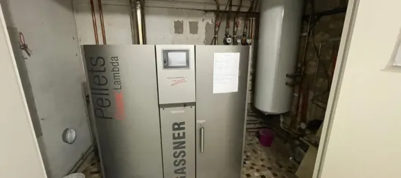 Дом с 9 комнатами в Шузе-сюр-Луара, Франция № 71918 21