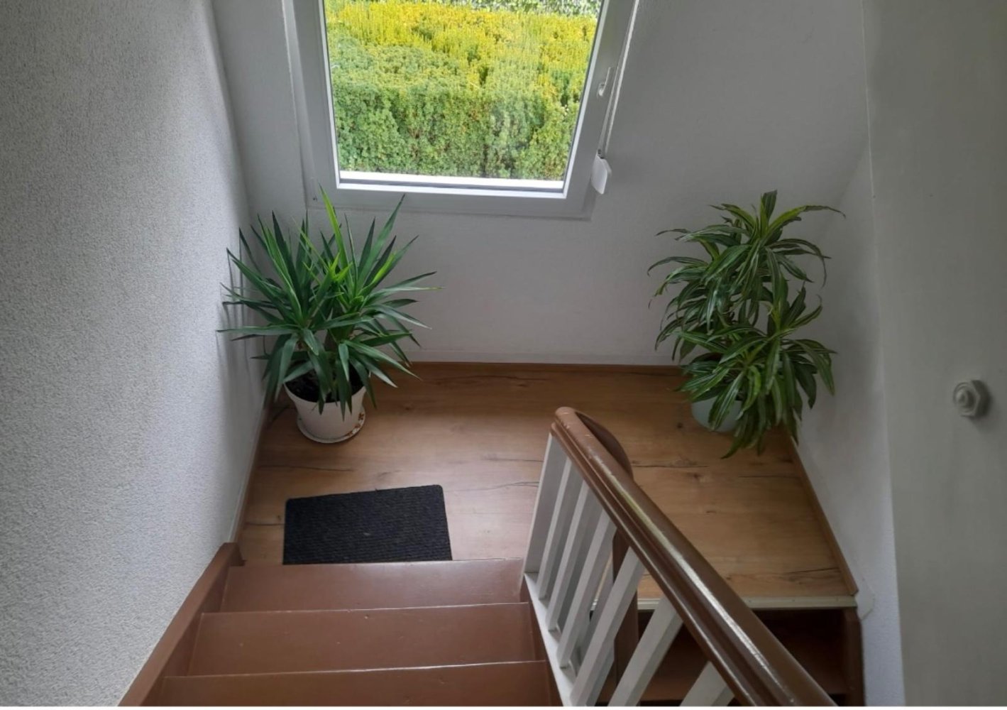 1 غرف نوم شقة في Rastatt, Germany رقم 321999