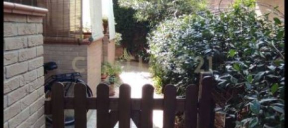 2 bedrooms Apartment in Grosseto, Italy No. 48673 14