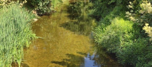 قطعة أرض في Lousada, Portugal رقم 77535 12