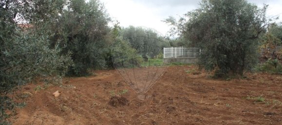 9 bedrooms House in Benquerenca, Portugal No. 177980 33