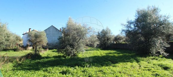 9 bedrooms House in Benquerenca, Portugal No. 177980 6