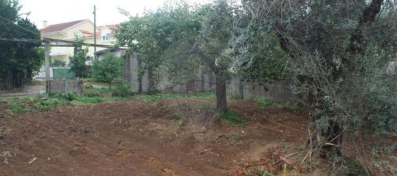 9 bedrooms House in Benquerenca, Portugal No. 177980 31