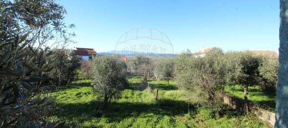 9 bedrooms House in Benquerenca, Portugal No. 177980 10