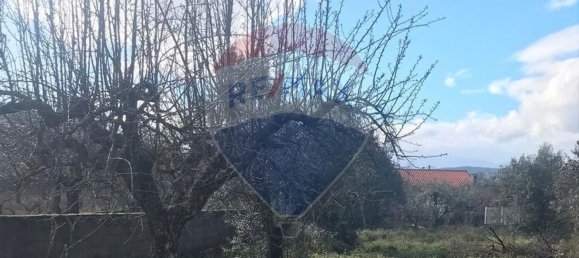 9 bedrooms House in Benquerenca, Portugal No. 177980 23