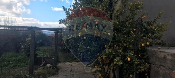 9 bedrooms House in Benquerenca, Portugal No. 177980 16