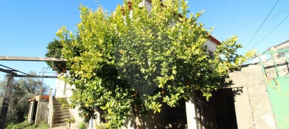 9 bedrooms House in Benquerenca, Portugal No. 177980 3