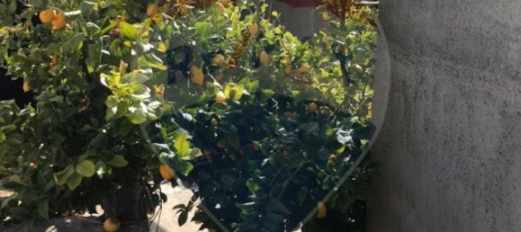 9 bedrooms House in Benquerenca, Portugal No. 177980 20