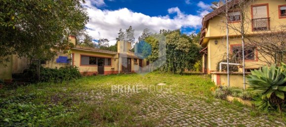 9 bedrooms House in Setubal, Portugal No. 146419 4